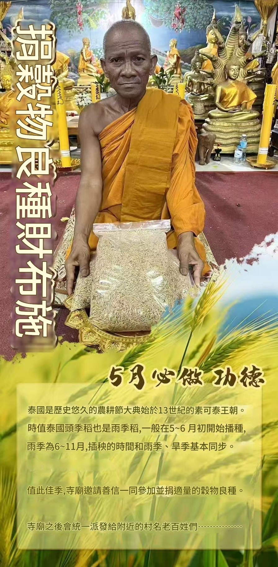 捐穀物良種財布施3