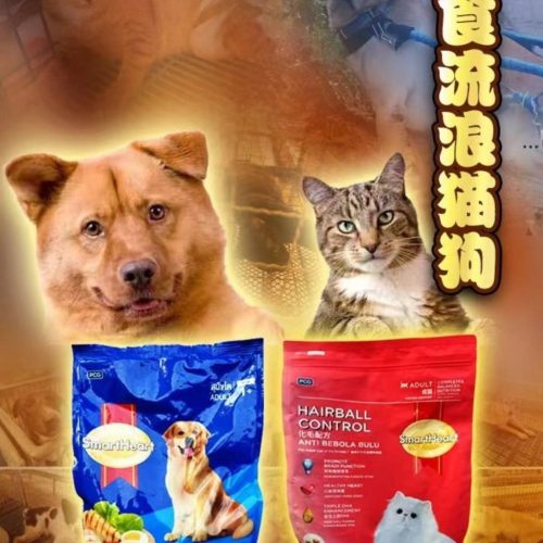 timeline_20240522_080538