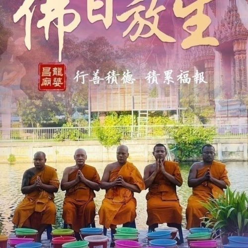 timeline_20240711_111145