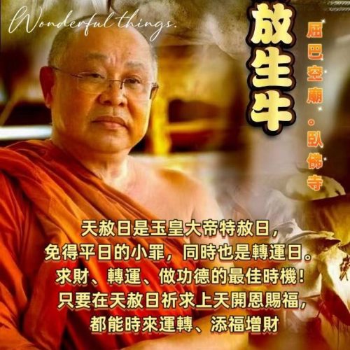 timeline_20240719_160856